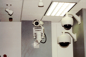 timeline-1995-surveyor